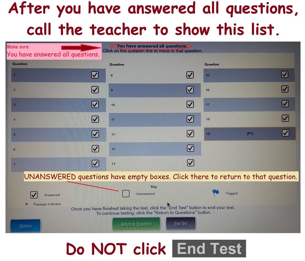LAS Links Test Summary